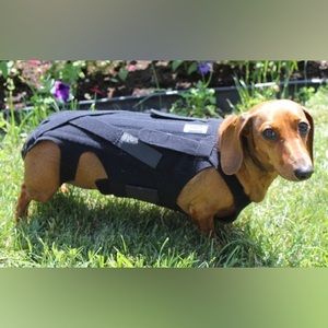 Lil Back Bracer - Size Small - Back support brace for dogs with IVDD